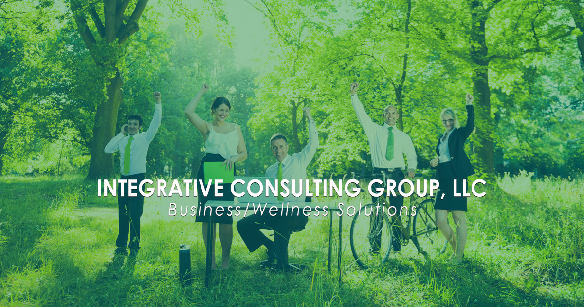 About Integrated Consulting Group What We Do Integrative Consulting